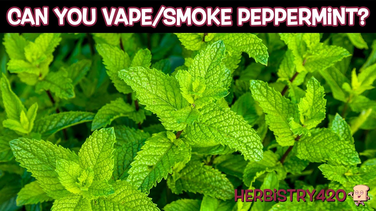 Can You Vape Mint? 5 Best Tips for Amazing Flavor