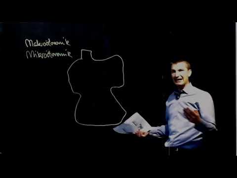 Makro Lightboard 1: Was ist Makroökonomik?