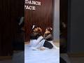 Piya Tose Lata Mangeshkar Ytshorts Dance Bolleywoodsong Viralshots Dancecover Semiclassical