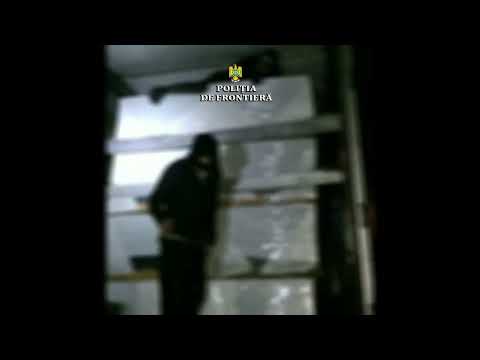Opt migranţi ascunşi într-un TIR, depistaţi la PTF Vărșand