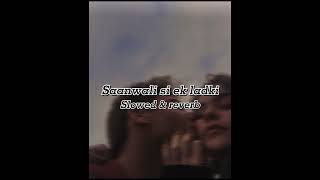 Download lagu Saanwali si ek ladki | Udit Narayan | Mujhse dosti karoge | Slowed & reverb mp3