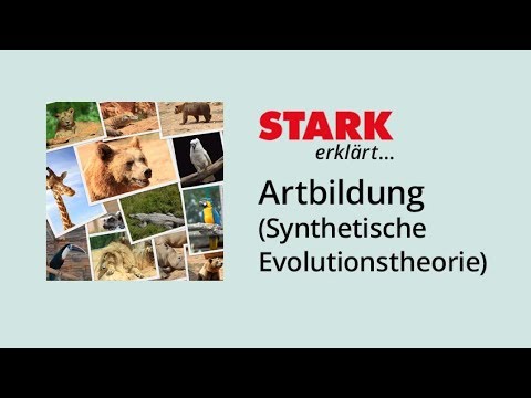 Artbildung nach der Synthetischen Evolutionstheorie | STARK erklärt