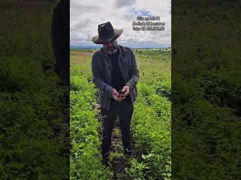 🌾 SÍTIO À VENDA EM IATI-PE – PEQUENO NO TAMANHO, GIGANTE NA CAPACIDADE DE PRODUÇÃO 🌾
