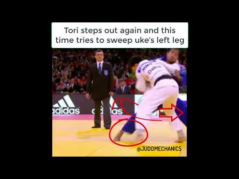 JUDOMECHANICS #101 | KO UCHIGARI BY DAVID LAROSE