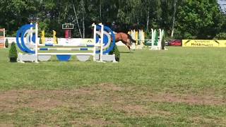 Wideo od Farfalla 11