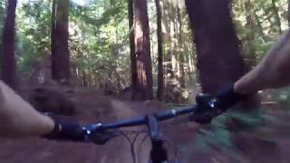 El Corte De Madera - Tafoni trail - El Corte De Madera Creek - Methuselah - Manzanita