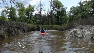 preview picture of video 'Turtle River Paddling'