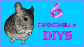 6 CHINCHILLA DIYS