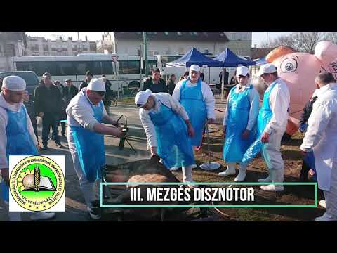 III. MEZGÉS Disznótor - 2020.02.15. - Kiskunfélegyháza