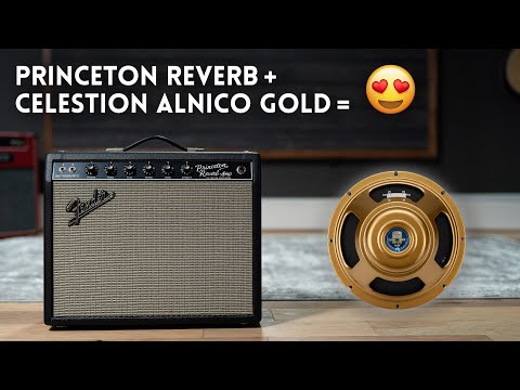 We put an Alnico Gold in our Princeton Reverb. Is it better?