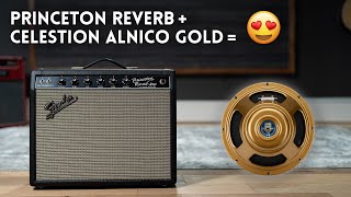 Video thumbnail for We put an Alnico Gold in our Princeton Reverb. Is it better? by WT Tone