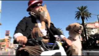 Gregory popovich and his pets driving on the strip