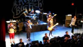 Reel Big Fish- Another Day in Paradise
