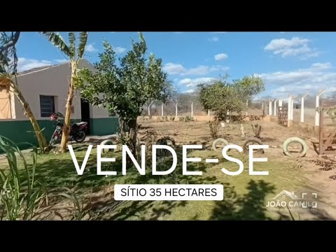 🌿VENDE-SE SÍTIO DE 35 HECTARES COM ESCRITURA I PREÇO R$320.000 I Santa Rita, São José do Egito - PE.