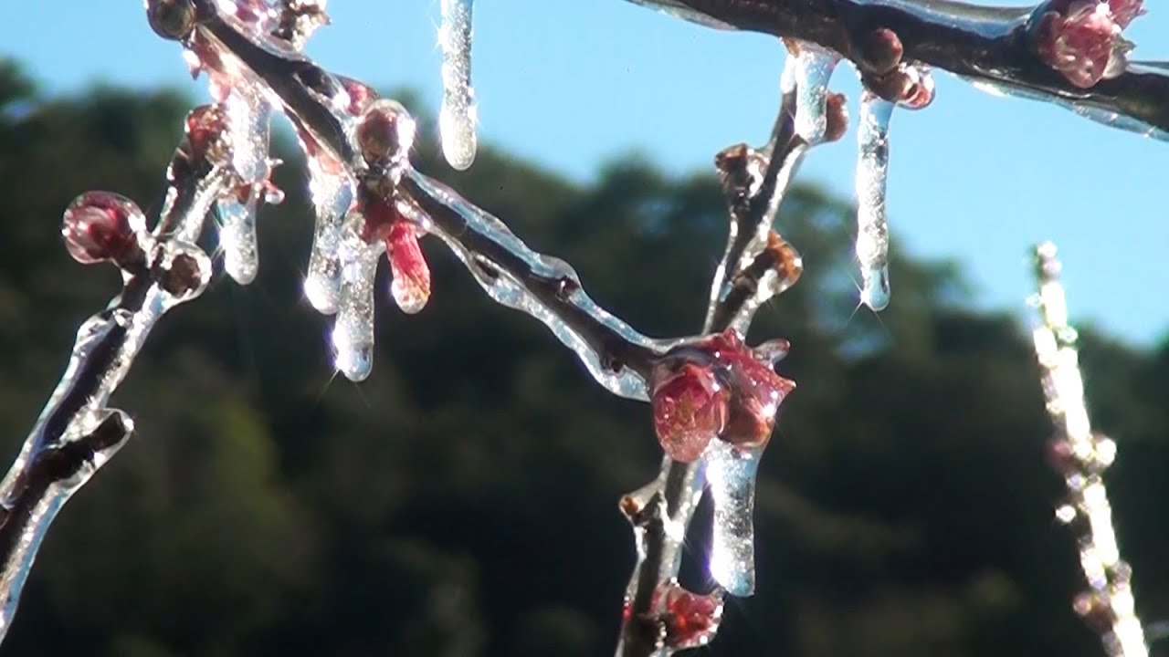 Agro Saúde e Cooperação - Fenômenos Climáticos