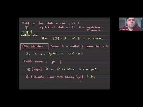 Splinters -- an introduction and open questions -- Rankeya Datta (UIC and MSU)