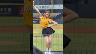 【瑄】岳政華應援曲#PassionSisters#台湾チアリーディングチーム チーム#中華職棒#CPBL#洲際#20240927