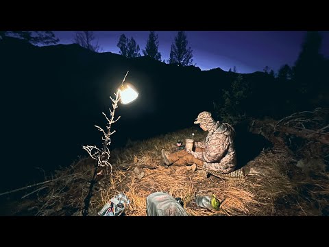 7 Days High Country Hunting | Backcountry Mule Deer Hunt (Full Film)