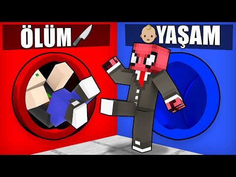 FERİTED HANGİSİNİ SEÇECEK? - Minecraft