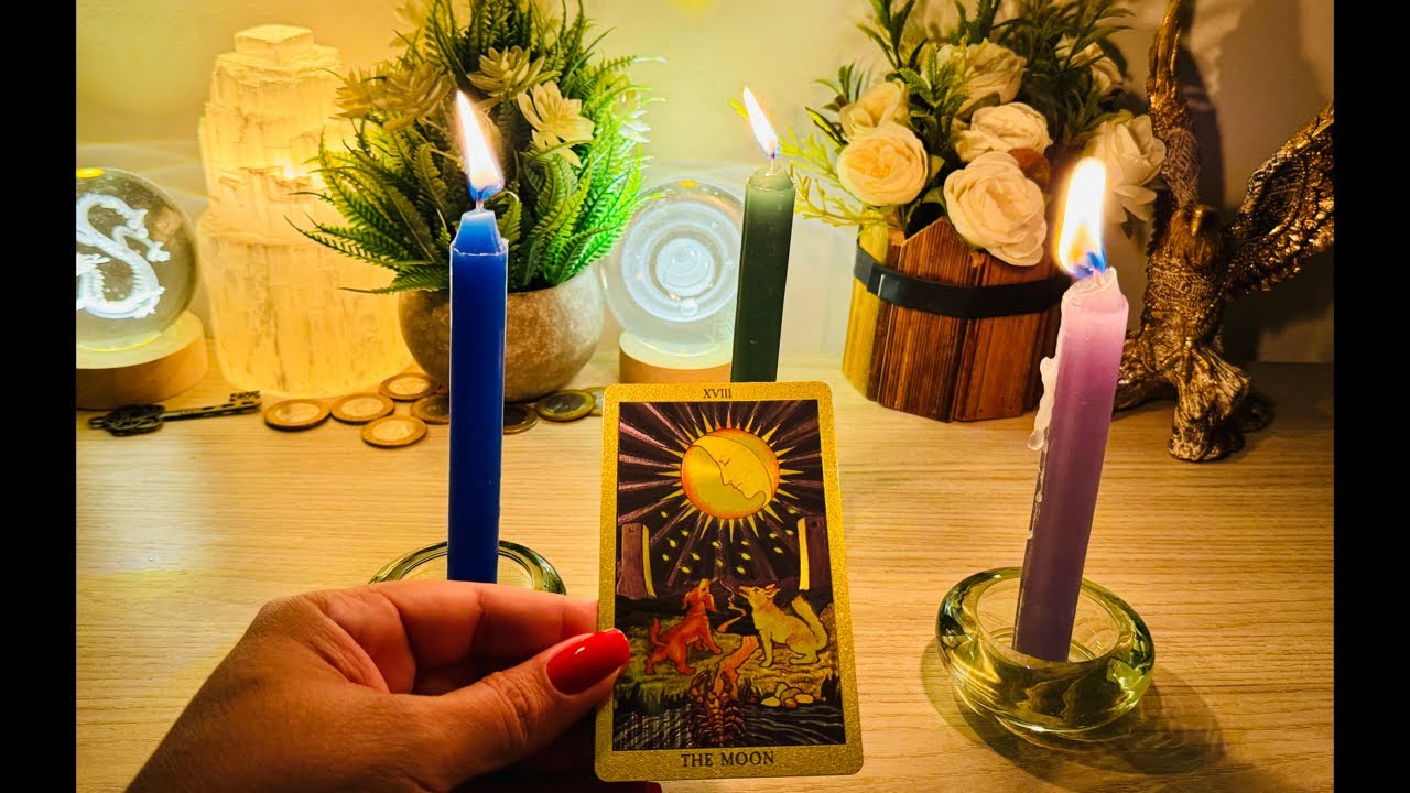 TUDO que ACONTECERÁ até o FINAL 2024 com VC🪭♥️