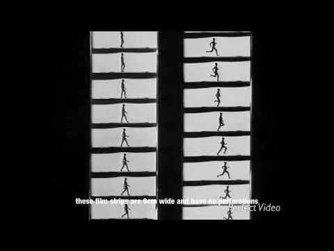 🟠 ANTHROPOLOGY   1895 Fèlix-Louis Regnault , chronophotography