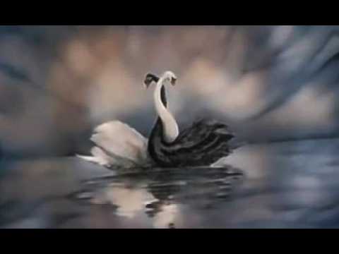 El Lago de los Cisnes , 15.3.26 T. Colón 