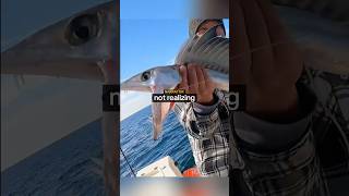 Download lagu Tangkapan Ikan yang Sangat Langka…💀 mp3