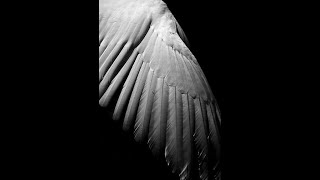 Xymox - Soul Free - Hard Attack version.