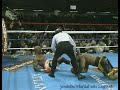 Evander Holyfield Ray Mercer 33 57 Fight FHD