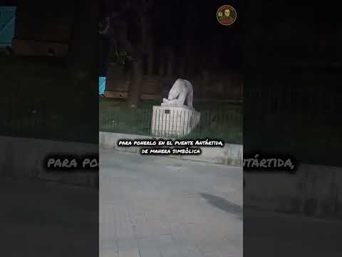 🐻‍❄️ ESTA TE LA SABIAS?? 🤔  #cordobacapital #osopolar #plazaespaña #nvacba  #nuevacordoba  #cordoba