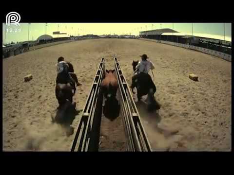 Bocal de Ouro Esteio (RS) – 6° e 7° lugar machos – Guanabara Nunca Más e Cigano Cala Bassa