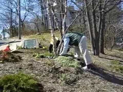 Anne Hutchinson Square has new look