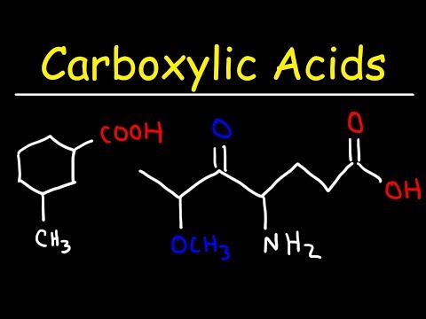 Organic Chemistry Basic Introduction