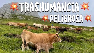 💥Don't miss this incredible odyssey, it will leave you breathless 💥