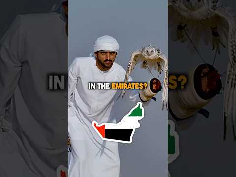 Most People In UAE Come From This Region