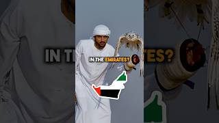 Most People In UAE Come From This Region