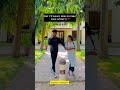 Annanthanagchi Whatsapp Status Annanthanagchi Pasam Nonblood Status Brosis Annathangachipaasam