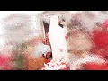 Dil Ko Chony Wala Klaam By Safia Akram Qadri