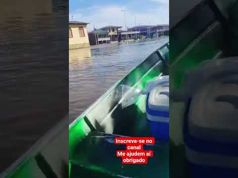 Cidade de Anamã Amazonas Brasil, quando no tempo de enchente...#amazonas #enchente #youtube
