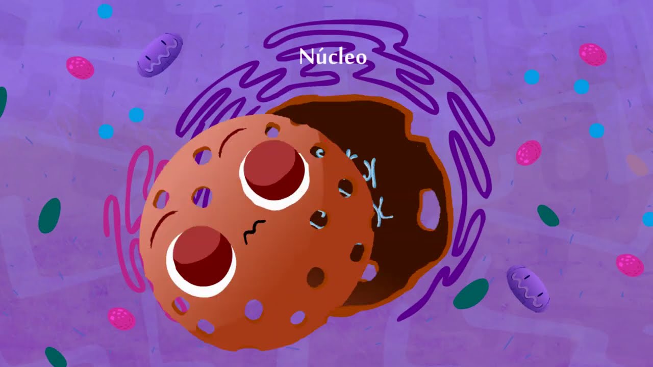 Câncer: Conhecer, Prevenir e Vencer