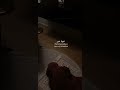 فيها خير