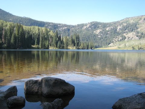 Travelodge - Williams (928) 635 2651