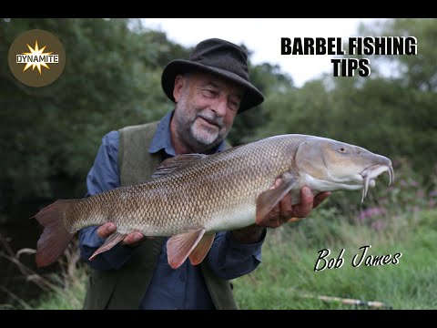 Barbel Fishing Tips with Bob James