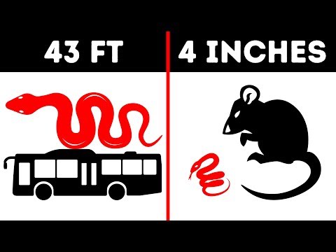 17 Most Unexpected Comparisons You've Ever Heard