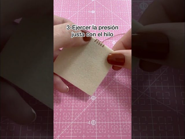Vídeo relacionado con LALAFINA Pegatinas Bordadas de Fieltro Diseño de Animales Adorables en 2 Piezas, Decoración Tridimensional para Cuadernos y Objetos Estilo Bonito y Fácil de Usar