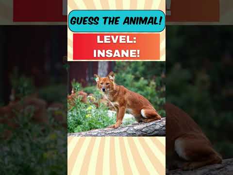 Think You Know Animals 🦊 The Ultimate Insane Level Animal Quiz Challenge! V02