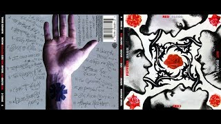 ✔️🔥 Red Hot Chili Peppers - The Power Of Equality [HQ Audio]