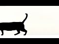 Adult Swim April Fools Bumps 2013