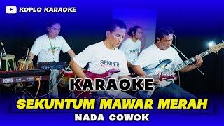 Download lagu SEKUNTUM MAWAR MERAH KARAOKE NADA COWOK / PRIA VERSI DANGDUT KOPLO JARANAN KEY Am mp3