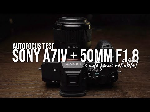 SONY A7IV + 50MM F1.8 VERSION 03 | Auto Focus Test